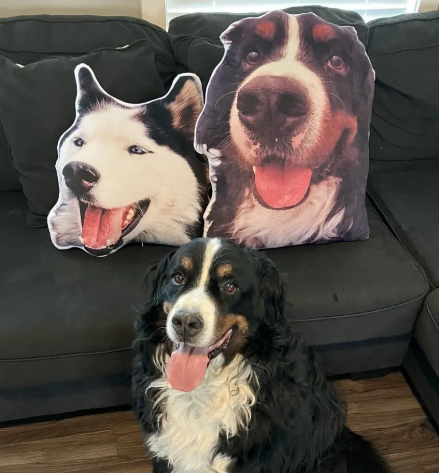Customer review