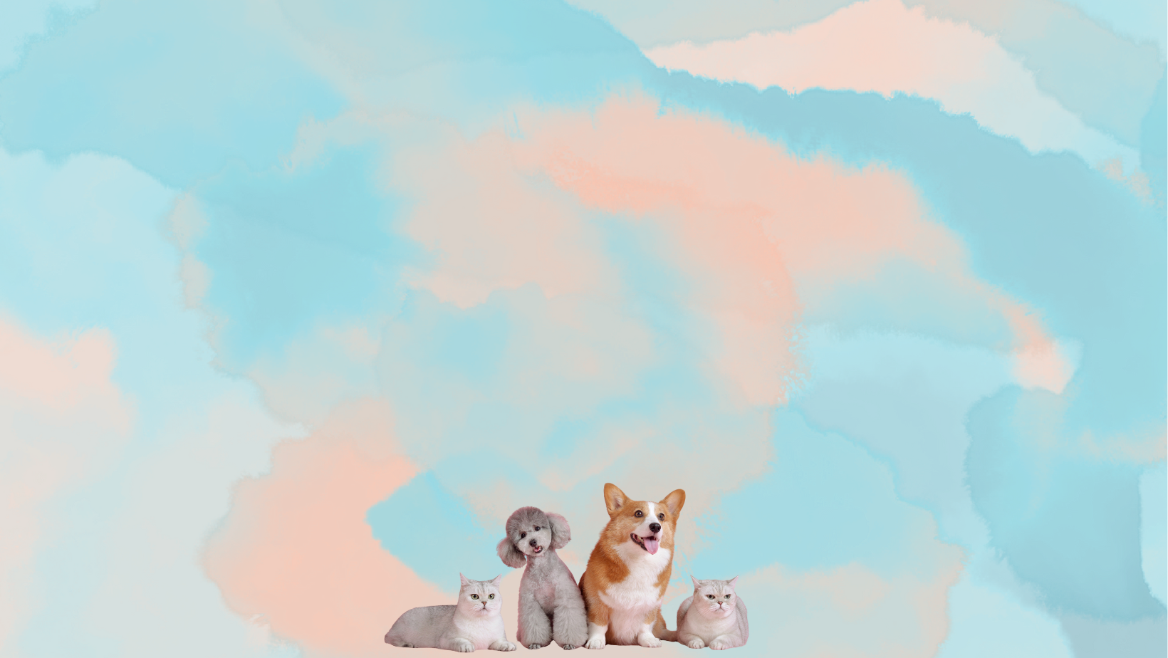 Custom pet coloring book preview